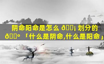 阴命阳命是怎么 🐡 划分的 🐺 「什么是阴命,什么是阳命」